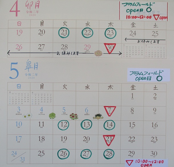 プラムのカレンダー４．５月