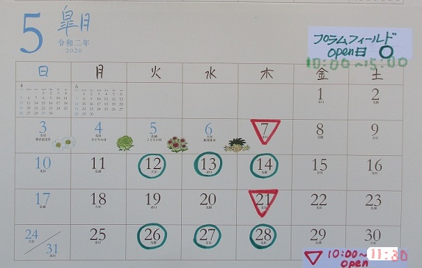 プラムのカレンダー５月